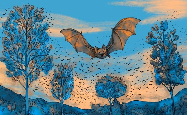 โลกร้อนเขย่า “ค้างคาว”  อ้วนแค่ไหนก็ไม่รอด