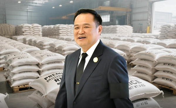 รัฐบาลส่งเสริม "ชาวนา" ปลูกข้าวคุณภาพสูงเพิ่มมูลค่า ดันข้าวไทยสู่ตลาด "พรีเมียม" 