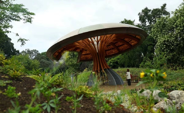 ลอนดอนเปิดตัว “สวนคาร์บอน” สอนบทเรียนสำคัญจาก “ธรรมชาติ”