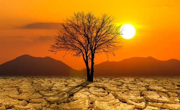 องค์การอุตุฯโลก เตือนคลื่นความร้อนสุดขั้วส่งผลกระทบรุนแรงทั่วโลก