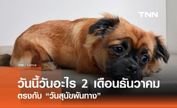 วันนี้วันอะไร วันที่ 2 ธันวาคม 2568 วันสุนัขพันทาง (National Mutt Day)