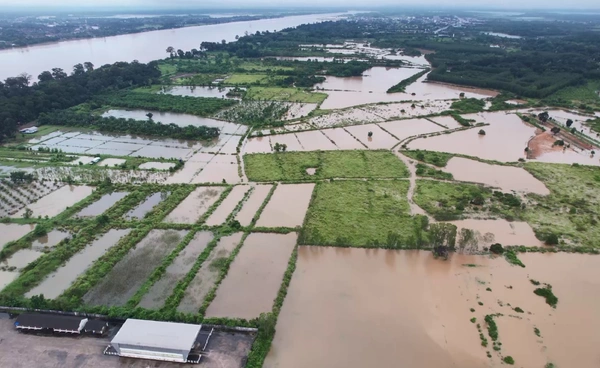 "บึงกาฬ" น้ำโขงลดลง แต่ยังท่วมพื้นที่เกษตรเสียหาย 8,610 ไร่   