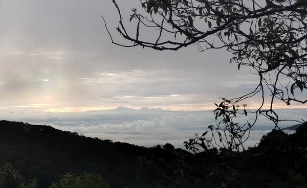 ฤดูหนาวแรกของปี ดอยอินทนนท์เช้านี้ 8 องศาฯ