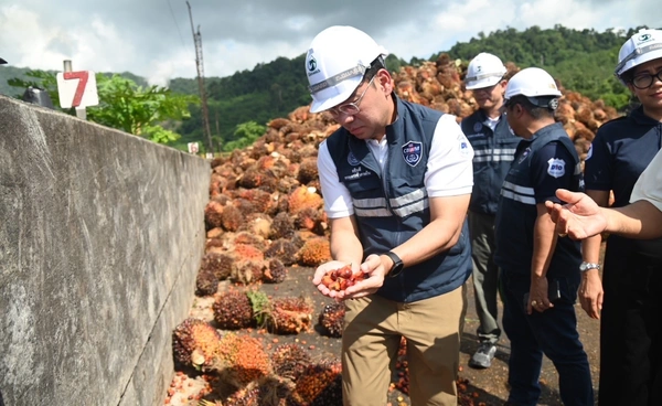 "กรมการค้าภายใน" เร่งผลักดันส่งออกน้ำมันปาล์ม หวังลดสต๊อกในประเทศ หนุนราคาปาล์มขยับ 