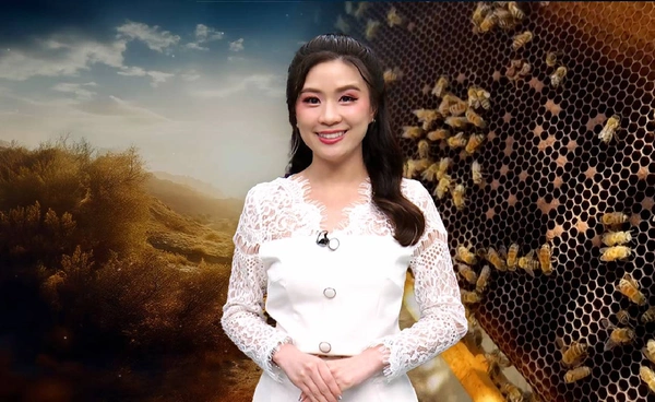 วิกฤตน้ำผึ้งแห่งอิรัก โลกร้อนทำระบบนิเวศเสียหายหนัก