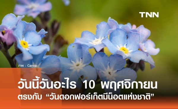 วันนี้วันอะไร วันที่ 10 พฤศจิกายน 2568 วันดอกฟอร์เก็ตมีน็อตแห่งชาติ