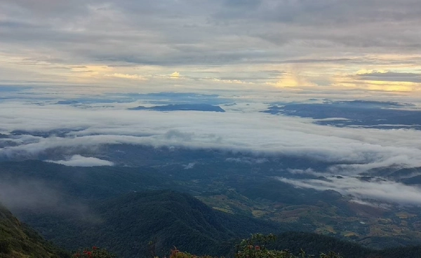 “ลมหนาว” มาแล้ว ปกคลุมไทยตอนบน 13-21 พ.ย.