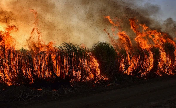 นักวิจัยฮาร์วาร์ดส่งเครื่องบิน NASA ER-2 ฝ่าควันไฟป่าสูงถึง 16 กม. เผยผลชวนทึ่งต่อภูมิอากาศโลก