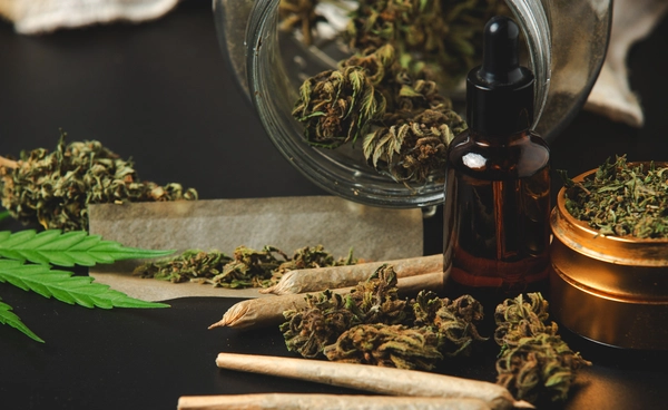 จบทางเสรี! กัญชาไทยถูกควบคุมใหม่ ใช้ได้เฉพาะทางการแพทย์