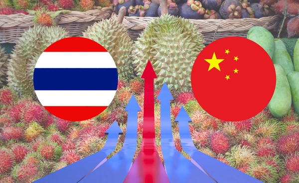 ไทย-จีน เปิดเส้นทางใหม่ เพิ่ม 5 ด่านนำเข้า-ส่งออกผลไม้ หนุนตลาด 1.8 แสนล้าน เริ่ม 1 กันยายน 2568 