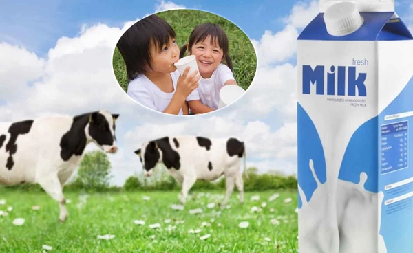 นมวัว มีฮอร์โมนก่อมะเร็ง เด็กไม่ควรดื่ม ?