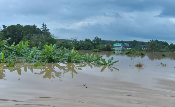 น้ำท่วมภาคใต้ยังวิกฤต! สั่ง 19 จังหวัด เร่งช่วยเหลือประชาชนผู้ประสบภัยอย่างเต็มที่