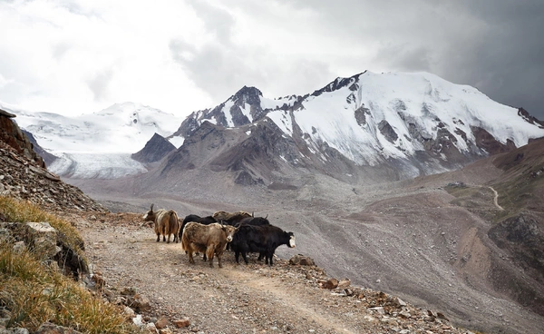ธารน้ำแข็งเอเชียกลางเริ่มละลาย ส่อเผชิญวิกฤตน้ำและอาหารรุนแรง