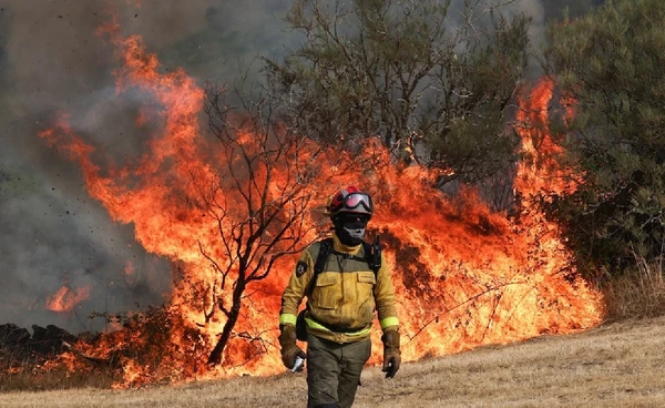 โลกร้อนจุดไฟป่า รุนแรงและเกิดบ่อยขึ้น 40 เท่า