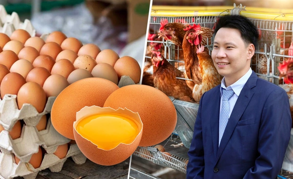 บอร์ดไข่ พร้อมกระจายพันธุ์ไก่ไข่สู่เกษตรกรอย่างทั่วถึง