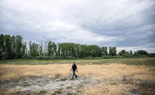 ภัยแล้งคุกคาม “ฮังการี” พื้นที่เกษตรแทบไม่เหลือน้ำ โลกร้อนบีบเกษตรกรเลิกอาชีพตัวเอง