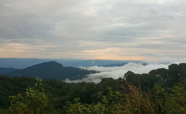 ดอยอินทนนท์ 12 องศาฯ  เย็นสบายคึกคักรับ “วันแม่”