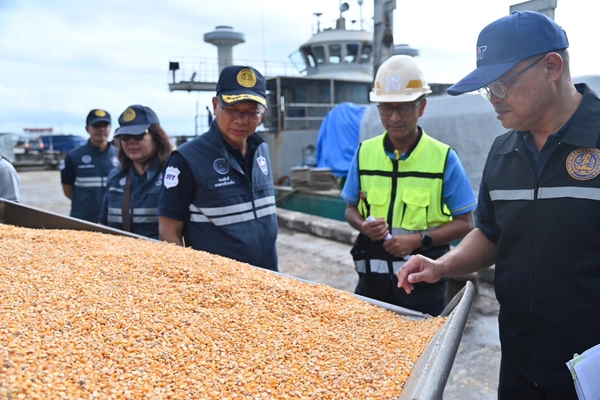 พาณิชย์ระนอง ลุยตรวจเข้มข้าวโพดเลี้ยงสัตว์ ป้องกันลักลอบนำเข้า–กดราคา 