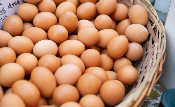 ผู้เลี้ยงไก่ไข่ วอนรัฐเร่งพยุงราคาหน้าฟาร์มด่วน เหตุราคาดิ่งแตะต้นทุน