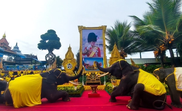 สวนนงนุช พัทยา จัดช้าง 73 เชือก  แปรขบวนเทิดไท้องค์ราชัน 