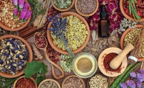  แนะสมุนไพรที่ควรพกติดรถระหว่างเดินทาง