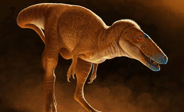 ไดโนเสาร์สายพันธุใหม่ คันคูลู (Khankhuuluu) ต้นตระกูล T-rex นักล่าผู้ยิ่งใหญ่