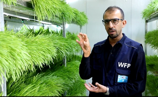 “อิรัก” เปิดตัว “โรงปลูกข้าวบาร์เลย์ไฮโดรโปนิกส์” สู้ภัยแล้งและขาดแคลนน้ำ