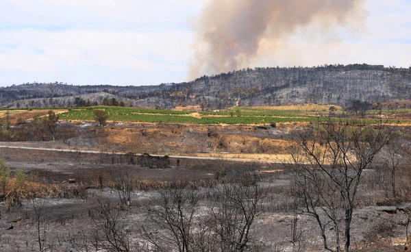 ฝรั่งเศสร้อนระอุ ไฟป่าเผาไร่องุ่นมหาศาล