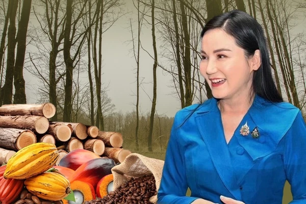 ข่าวดี!    ไทยถูกจัดอยู่ในกลุ่ม “Low Risk”ตามกฎ EUDR เอื้อส่งออกสินค้าเกษตรไปยุโรปง่ายขึ้น 