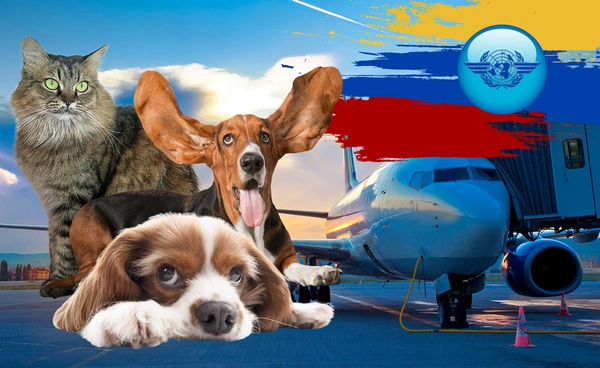 ร้อง ICAO ผุดมาตรฐานขนส่งสัตว์ทางอากาศ