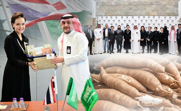 ซาอุฯ เพิ่มออเดอร์มันสำปะหลังอีก 30,000 ตัน 