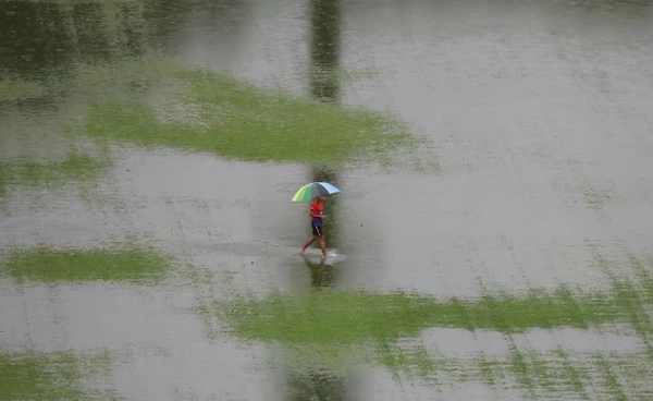 เตือนใต้ตอนล่าง 7 จังหวัด ระวังฝนตกหนักอีก 1 วัน อาจทำระดับน้ำสูงขึ้นอีก!