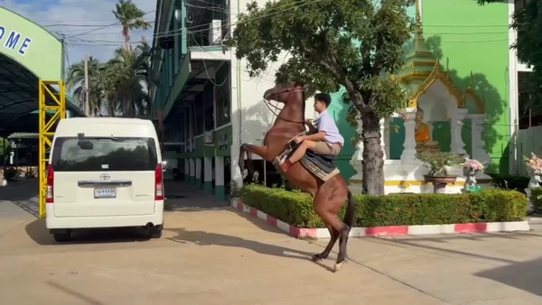 "เด็กไทยใจกล้า"นักเรียนชายอ่างทอง ขี่ม้าคู่ใจไปโรงเรียน  | เรื่องดีดีทั่วไทย | 25-06-68