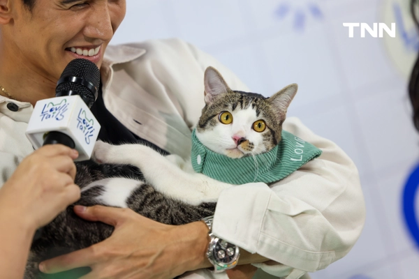 รูป-อวดความน่ารัก “น้องมันเดย์” อดีตแมวจรสู่แมวสุดรัก “ก๊อต” จิรายุ -10