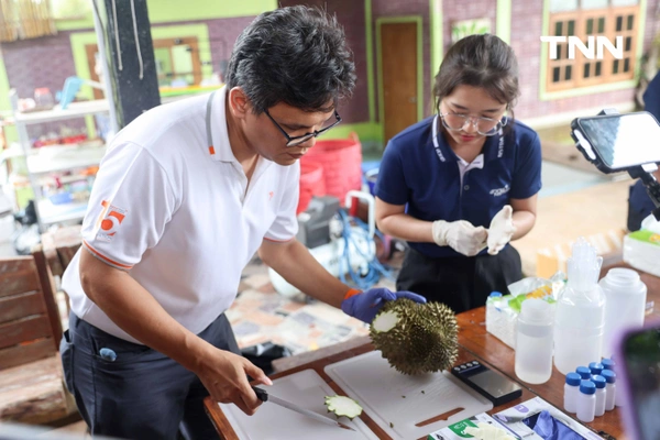 รูป-นาโนเทค นำต้นแบบ "N-sense" ลงพื้นที่จังหวัดระยอง ทดสอบวิเคราะห์ BY2 ใน ทุเรียน-12