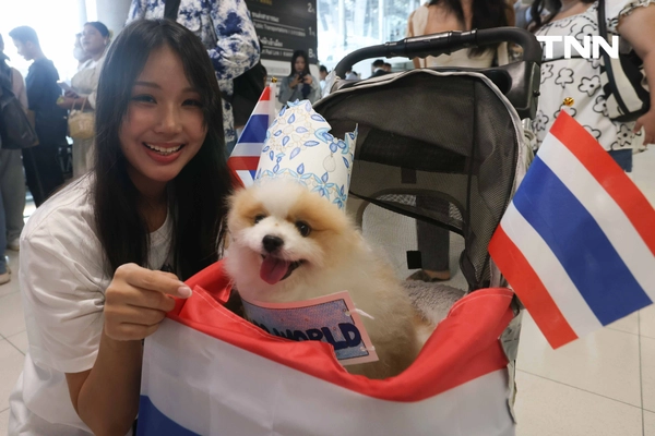 รูป-ประมวลภาพประวัติศาสตร์ขบวนแห่แห่งเกียรติยศ “โอปอล-สุชาตา” คนไทยรอรับแน่นถนนสุขุมวิท-21