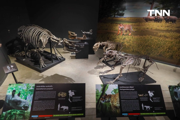 รูป-‘Thainosaur’ เมื่อไดโนเสาร์ไทยกลับมามีชีวิตอีกครั้ง สมจริงทุกรายละเอียด อวดสีสันแท้ที่โลกไม่เคยรู้ -8