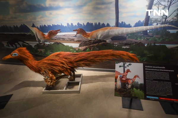 รูป-‘Thainosaur’ เมื่อไดโนเสาร์ไทยกลับมามีชีวิตอีกครั้ง สมจริงทุกรายละเอียด อวดสีสันแท้ที่โลกไม่เคยรู้ -7