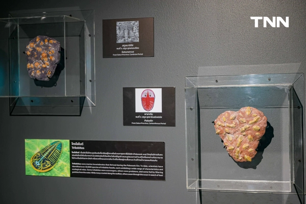 รูป-‘Thainosaur’ เมื่อไดโนเสาร์ไทยกลับมามีชีวิตอีกครั้ง สมจริงทุกรายละเอียด อวดสีสันแท้ที่โลกไม่เคยรู้ -13