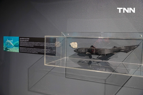 รูป-‘Thainosaur’ เมื่อไดโนเสาร์ไทยกลับมามีชีวิตอีกครั้ง สมจริงทุกรายละเอียด อวดสีสันแท้ที่โลกไม่เคยรู้ -16