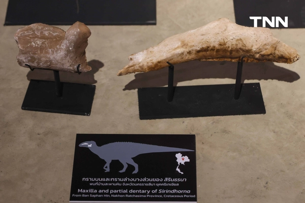 รูป-‘Thainosaur’ เมื่อไดโนเสาร์ไทยกลับมามีชีวิตอีกครั้ง สมจริงทุกรายละเอียด อวดสีสันแท้ที่โลกไม่เคยรู้ -26