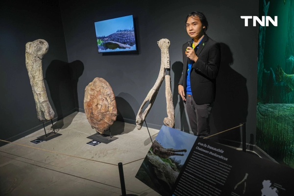 รูป-‘Thainosaur’ เมื่อไดโนเสาร์ไทยกลับมามีชีวิตอีกครั้ง สมจริงทุกรายละเอียด อวดสีสันแท้ที่โลกไม่เคยรู้ -21