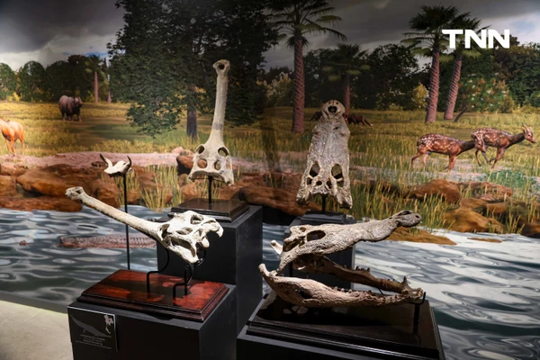 รูป-‘Thainosaur’ เมื่อไดโนเสาร์ไทยกลับมามีชีวิตอีกครั้ง สมจริงทุกรายละเอียด อวดสีสันแท้ที่โลกไม่เคยรู้ -25