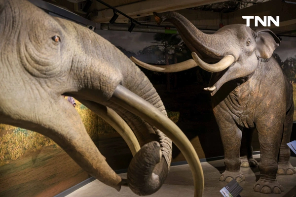 รูป-‘Thainosaur’ เมื่อไดโนเสาร์ไทยกลับมามีชีวิตอีกครั้ง สมจริงทุกรายละเอียด อวดสีสันแท้ที่โลกไม่เคยรู้ -28