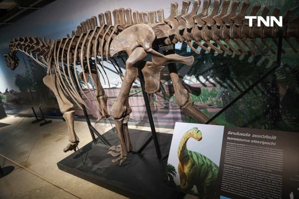 รูป-‘Thainosaur’ เมื่อไดโนเสาร์ไทยกลับมามีชีวิตอีกครั้ง สมจริงทุกรายละเอียด อวดสีสันแท้ที่โลกไม่เคยรู้ -18