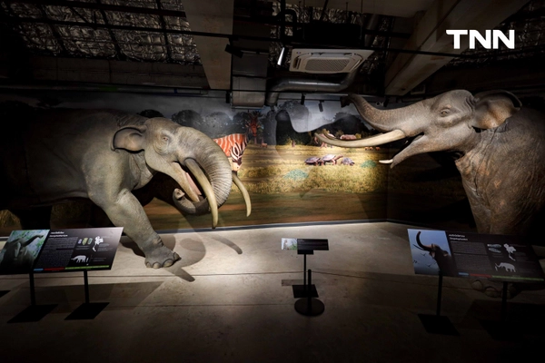 รูป-‘Thainosaur’ เมื่อไดโนเสาร์ไทยกลับมามีชีวิตอีกครั้ง สมจริงทุกรายละเอียด อวดสีสันแท้ที่โลกไม่เคยรู้ -10