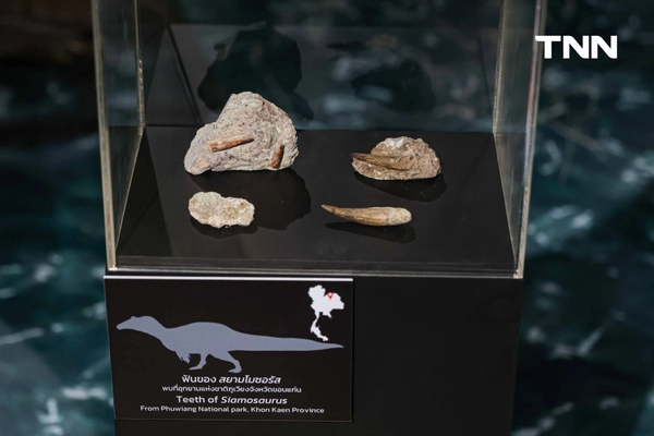 รูป-‘Thainosaur’ เมื่อไดโนเสาร์ไทยกลับมามีชีวิตอีกครั้ง สมจริงทุกรายละเอียด อวดสีสันแท้ที่โลกไม่เคยรู้ -20