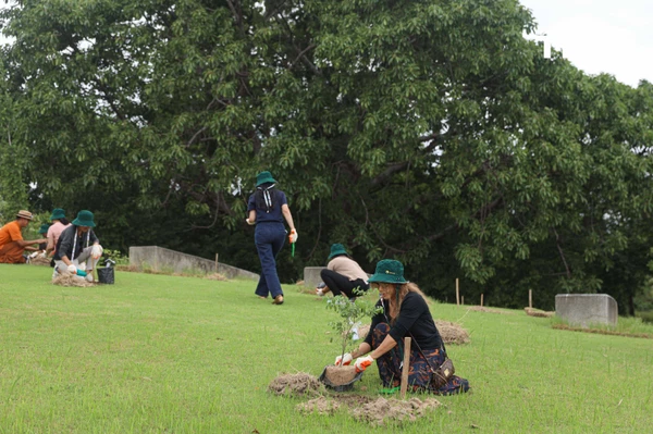 รูป-ดอยคำผนึกกำลังฟื้นฟูชายหาดพระราชนิเวศน์มฤคทายวัน ปลูกต้นไม้สันดอนทรายชายฝั่งคืนสมดุลสู่ธรรมชาติ-4