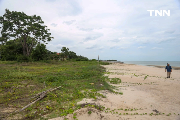 รูป-ดอยคำผนึกกำลังฟื้นฟูชายหาดพระราชนิเวศน์มฤคทายวัน ปลูกต้นไม้สันดอนทรายชายฝั่งคืนสมดุลสู่ธรรมชาติ-10
