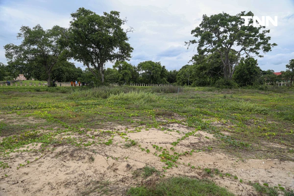 รูป-ดอยคำผนึกกำลังฟื้นฟูชายหาดพระราชนิเวศน์มฤคทายวัน ปลูกต้นไม้สันดอนทรายชายฝั่งคืนสมดุลสู่ธรรมชาติ-11